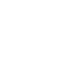 Spino Page